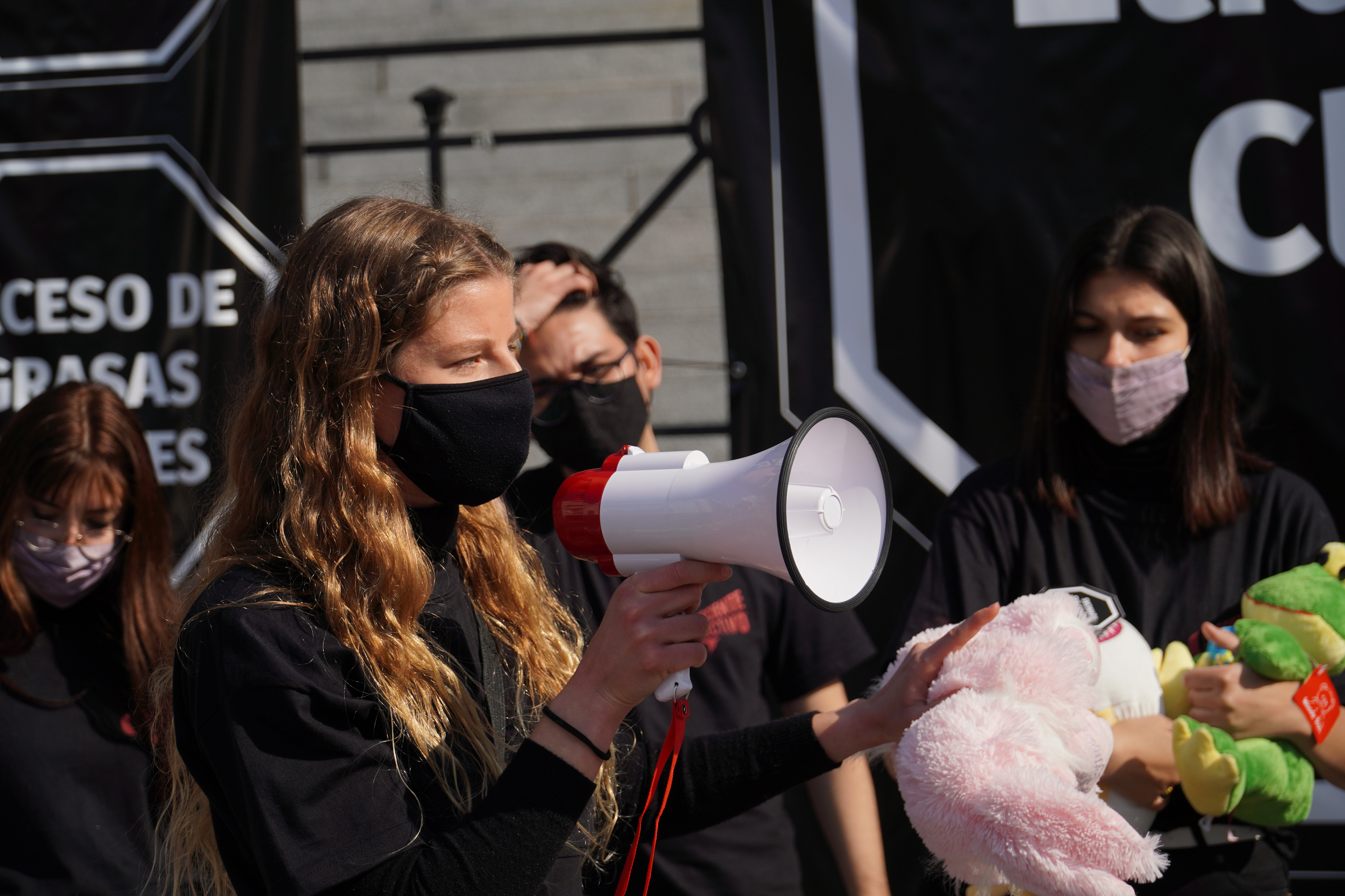 Intervención en Vía Pública con peluches